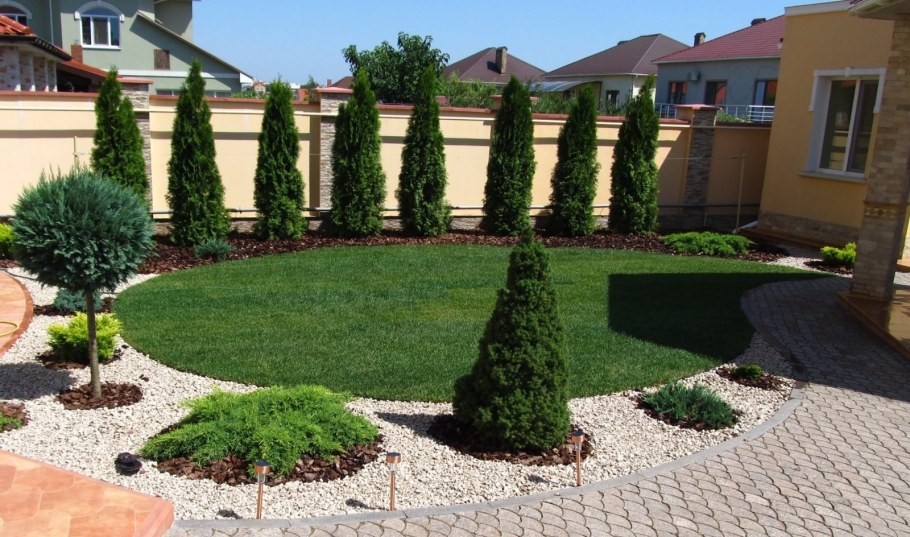 Ландшафт щебень туя Даника