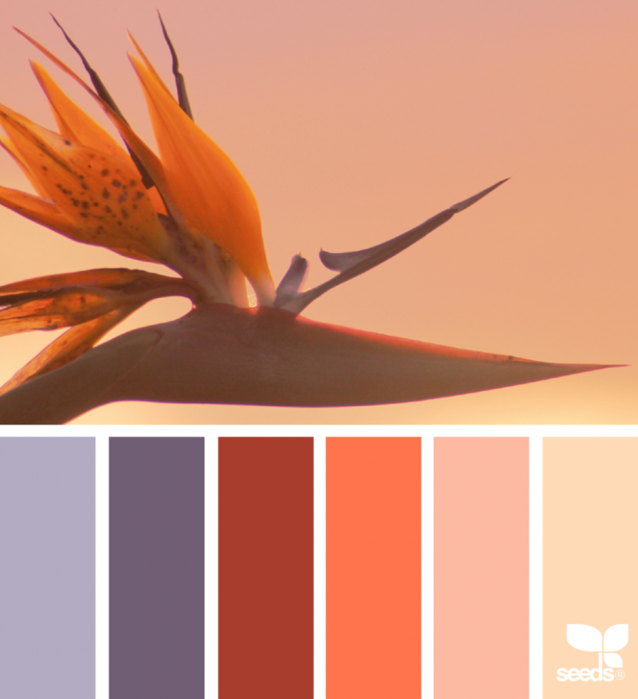 Палитра пантон оранжевый