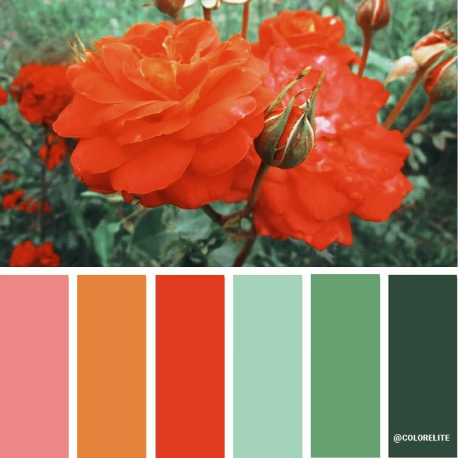 Цвета сочетающиеся с терракотовым