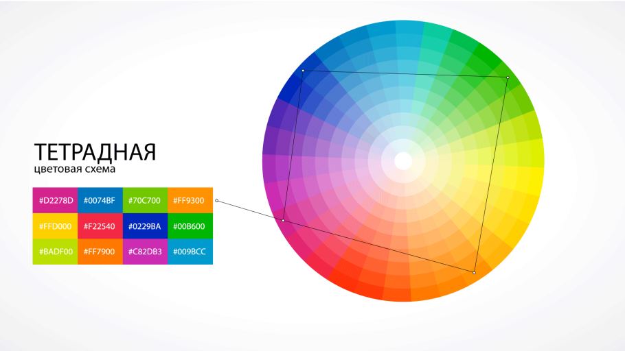 Цветовой круг теплые и холодные