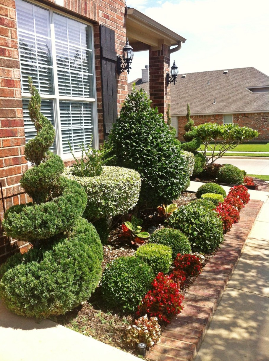 Клумба с самшитом