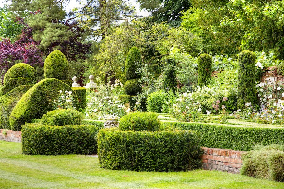 Ландшафтные парки и сады мира самшит