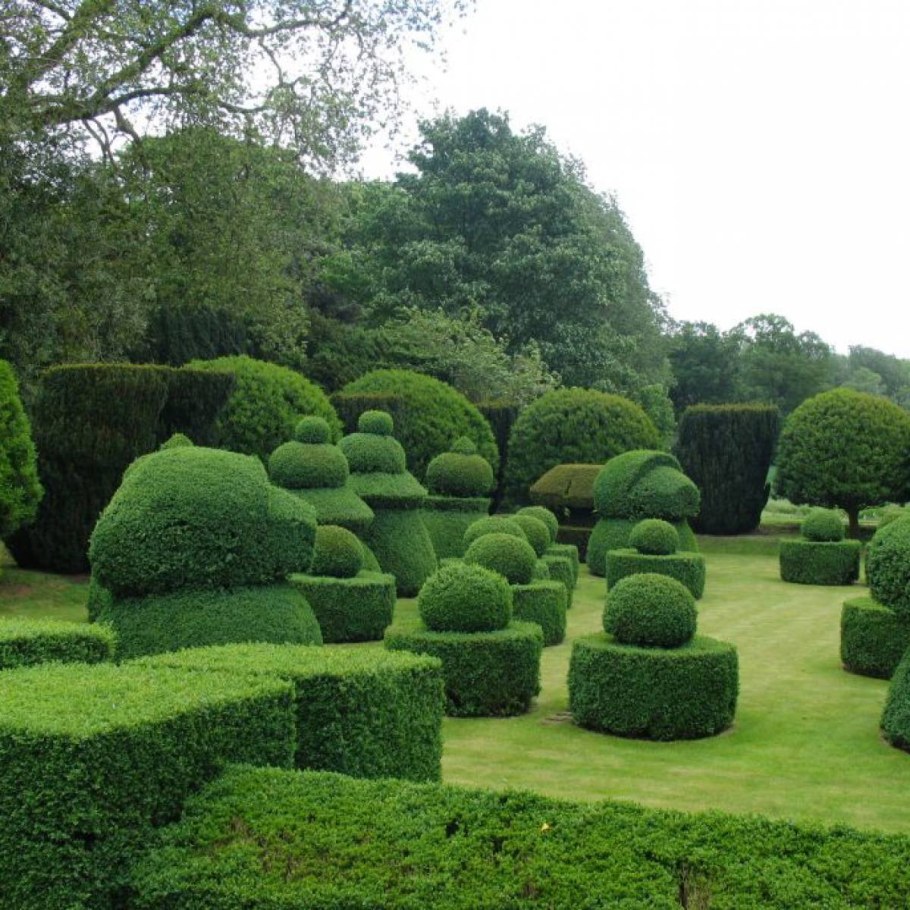 Структурные посадки