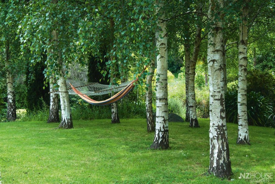 Берёзовая роща Орехово-Зуево