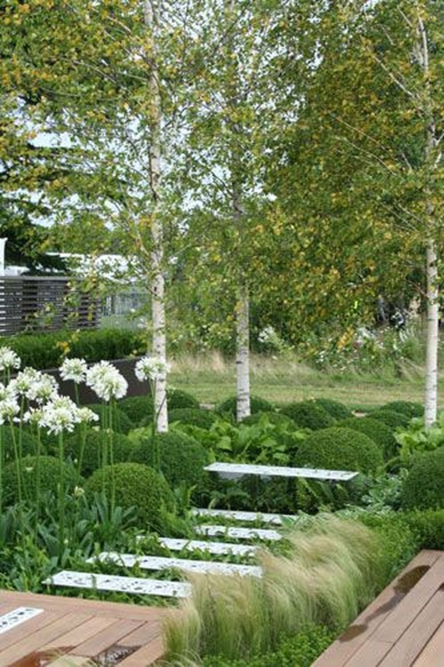 Береза Голден Треже в ландшафтном дизайне