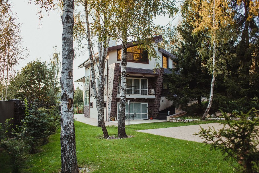 Березы на участке ландшафт