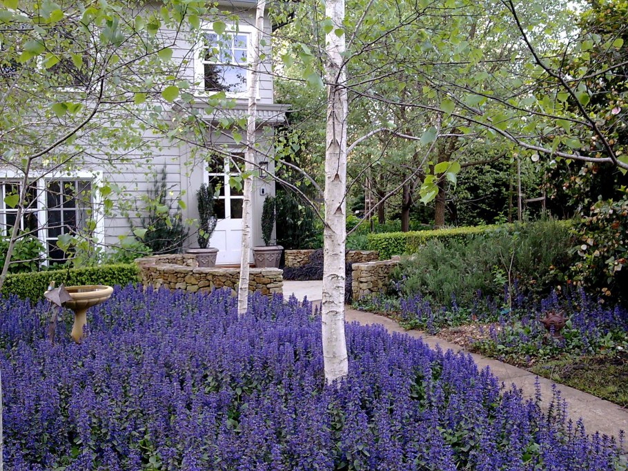 Роща в ландшафтном дизайне