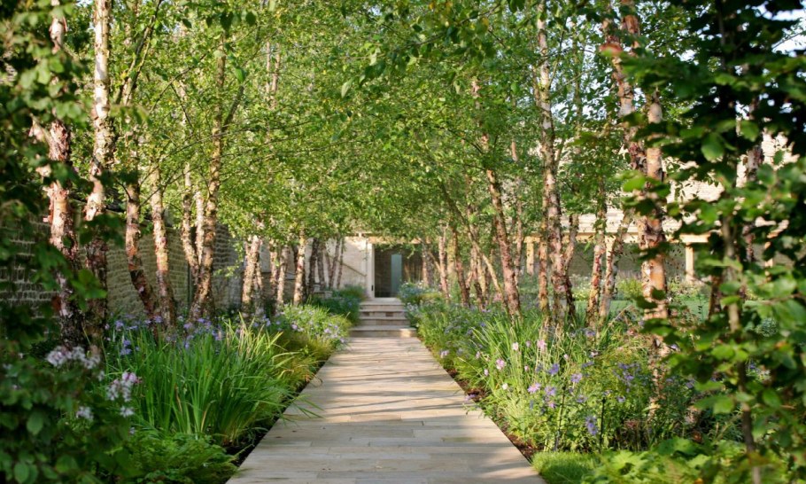 Ландшафтный проект Березовая аллея