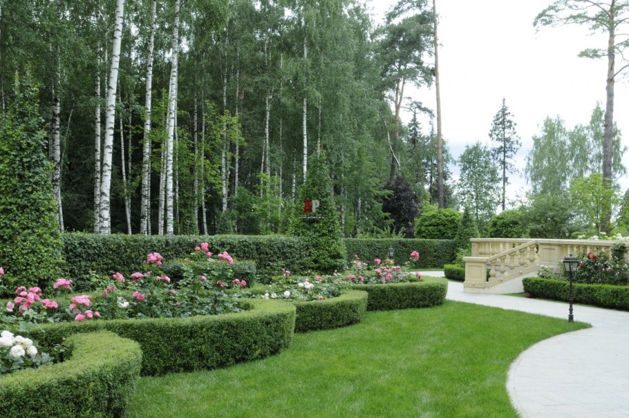 Озеленение парка Березовая аллея