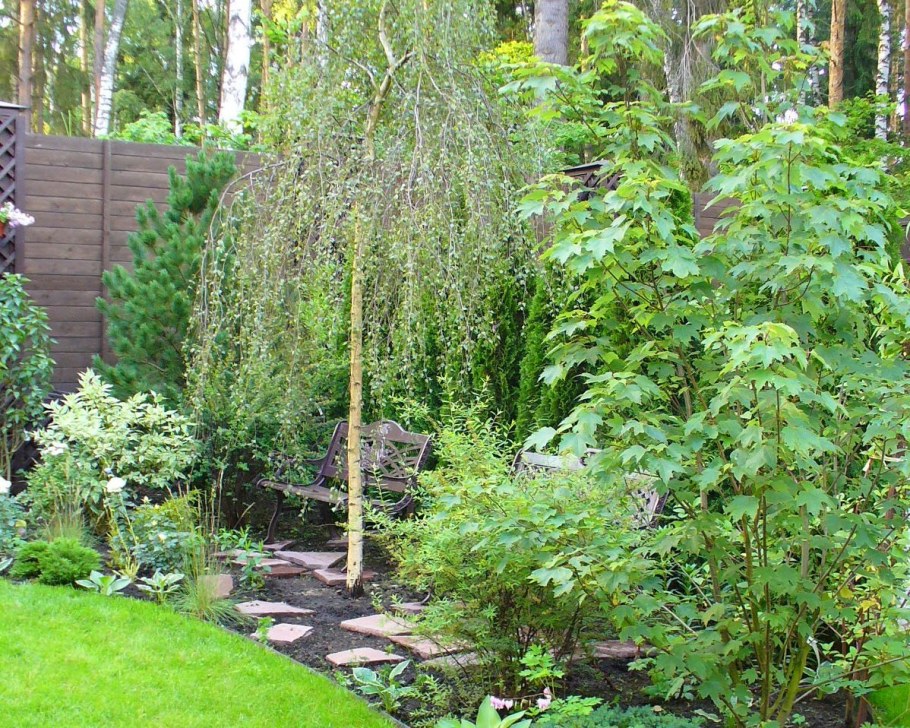 Ива Козья Пендула