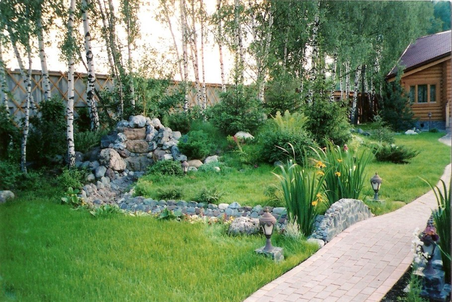 Ландшафт участка с березками