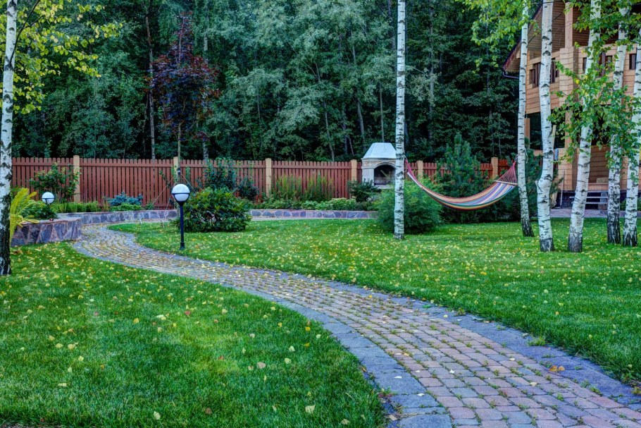 Ландшафт участка с березовой рощей