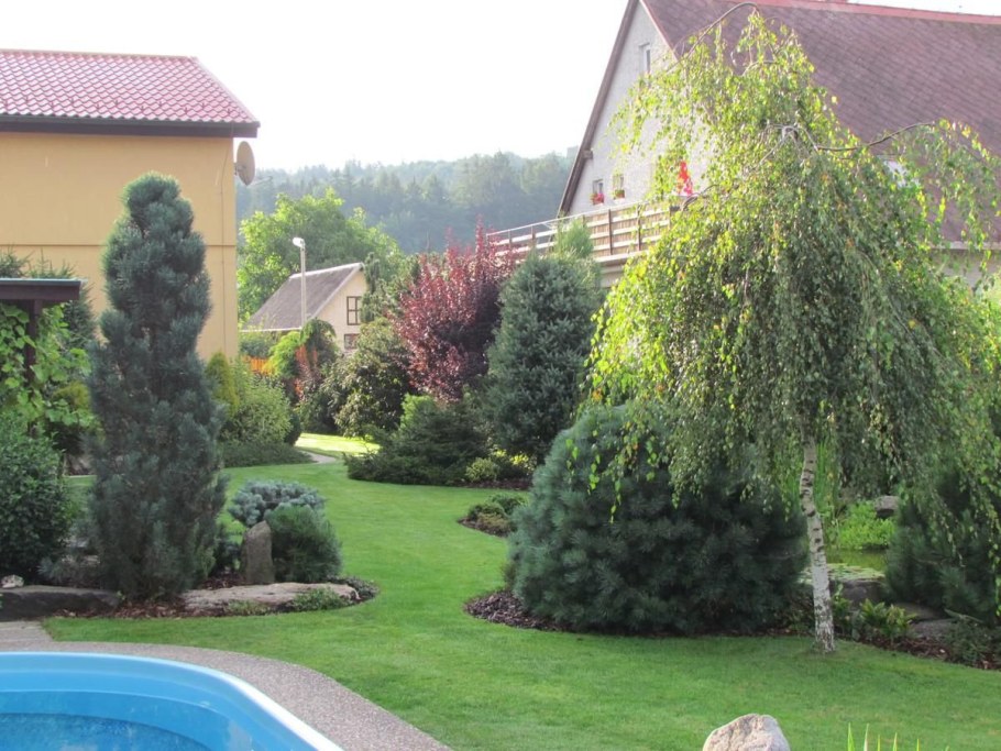 Лещина обыкновенная Пендула