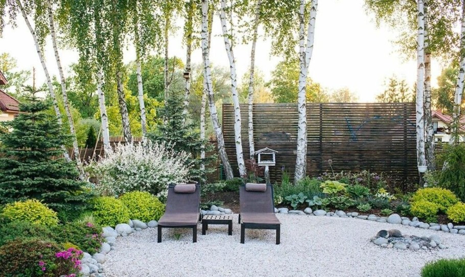 Миксбордер с березой