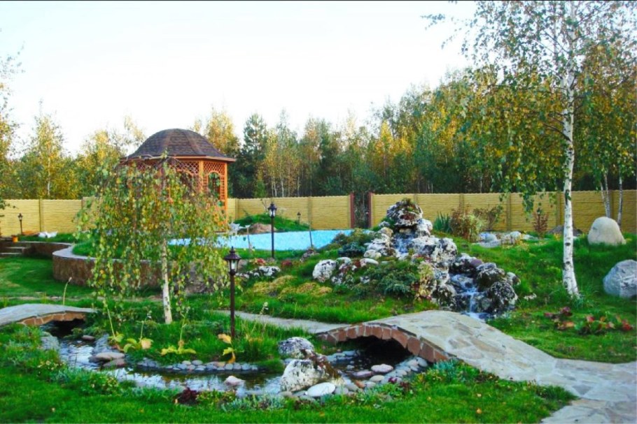 Березы на участке ландшафт