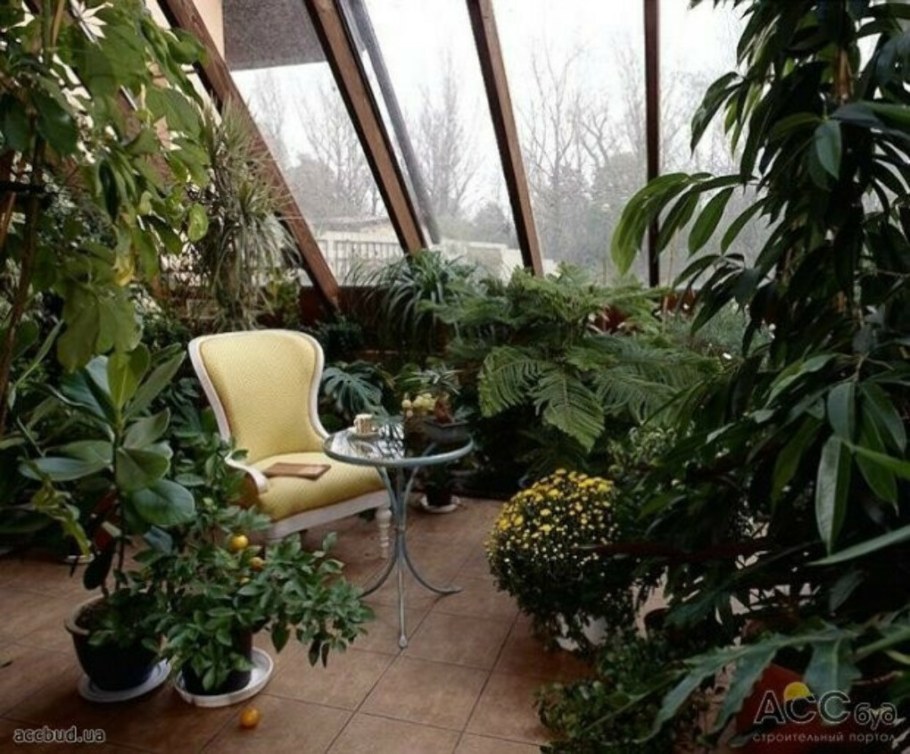 Сад оранжерея на балконе