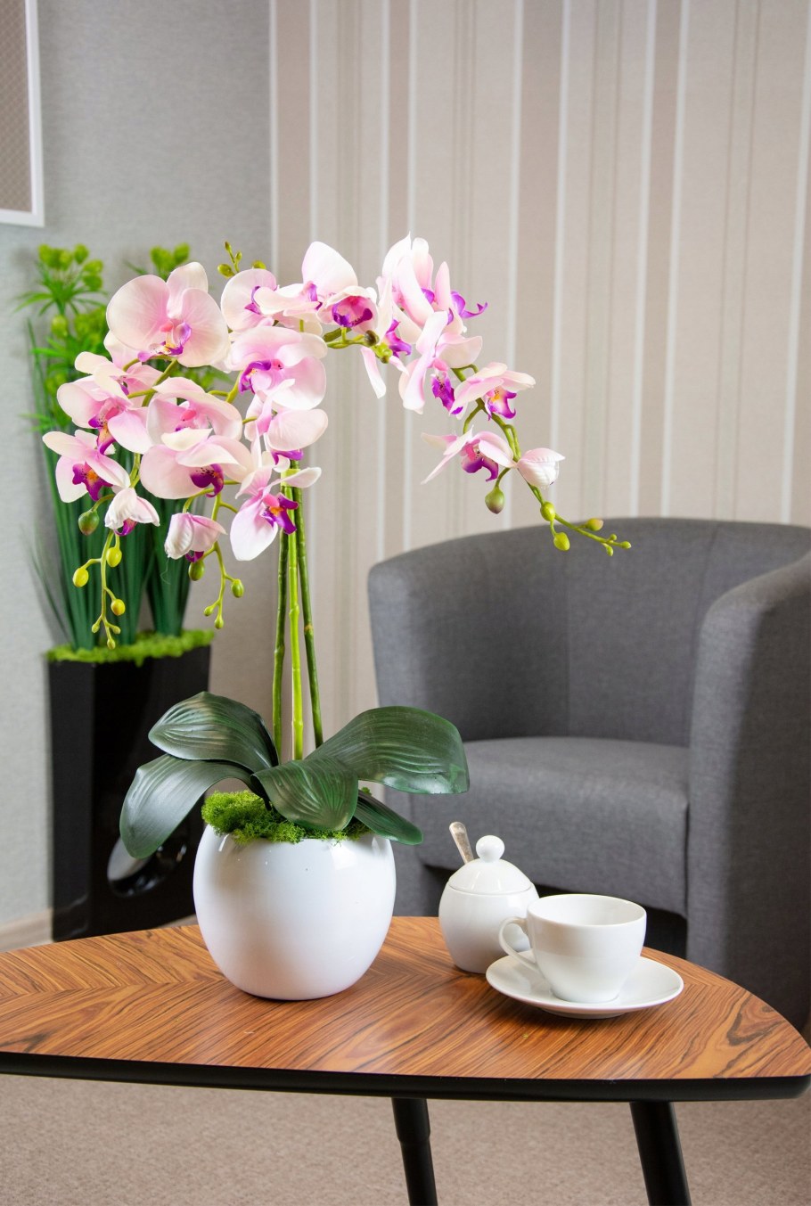 Phalaenopsis декорейшен