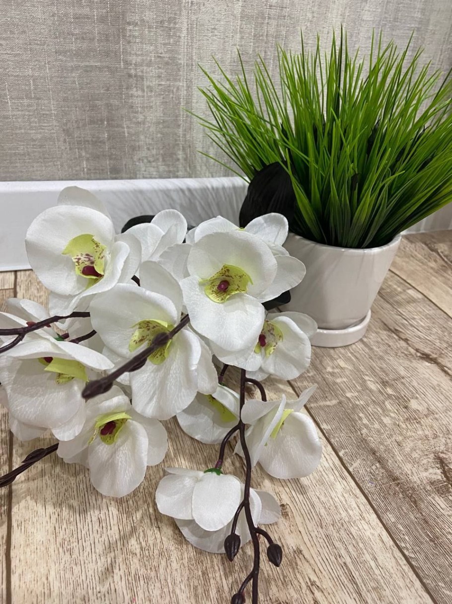 Орхидея из холодного фарфора в стекле