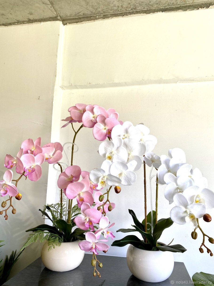Композиция с орхидеями в горшке