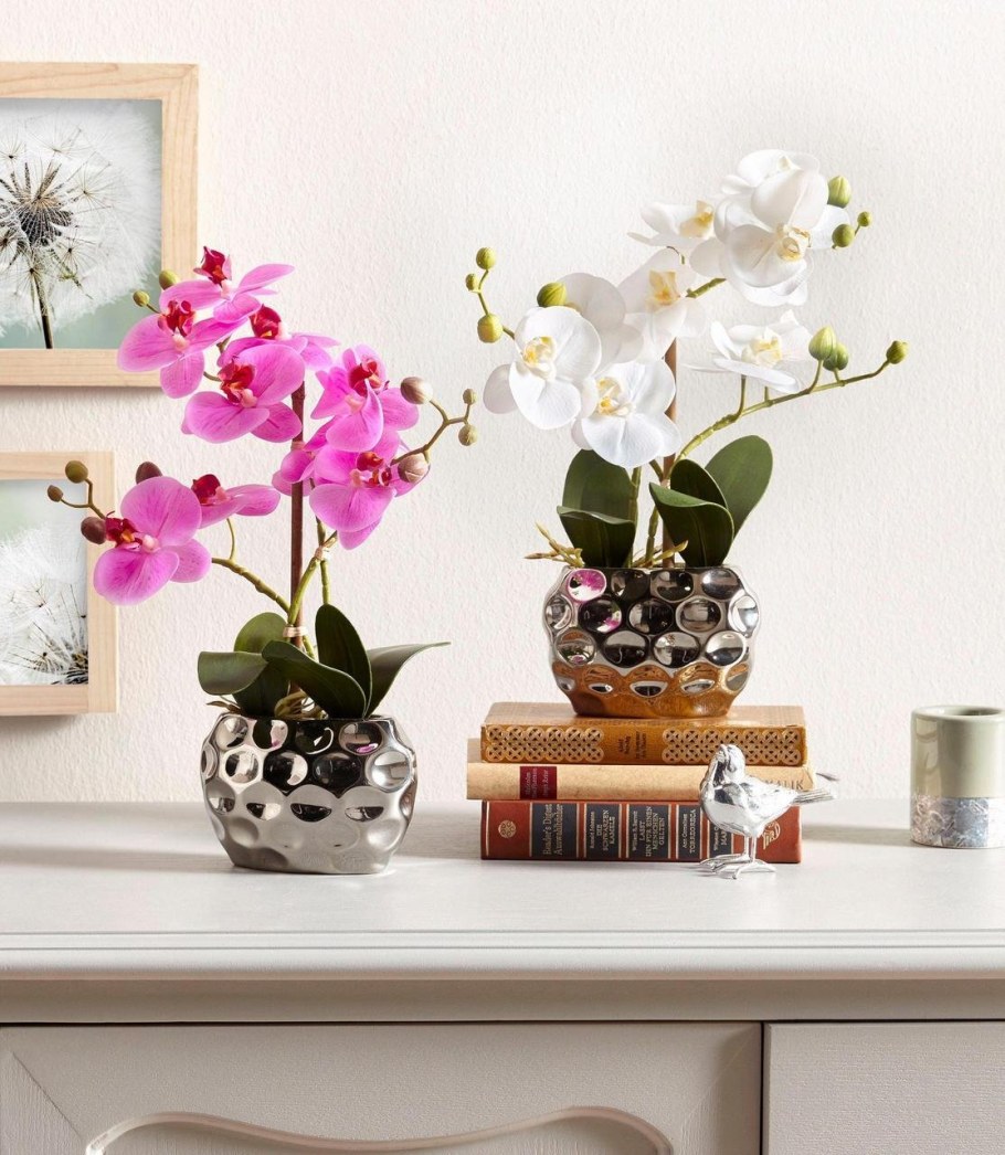 Орхидея в горшке