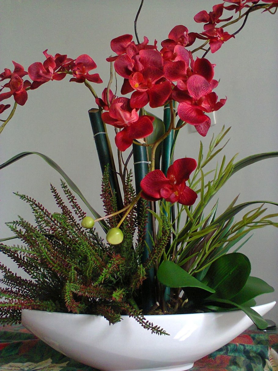 Орхидея Ровелла