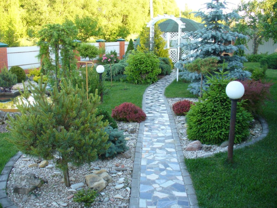 Можжевельник скальный Блю Эрроу