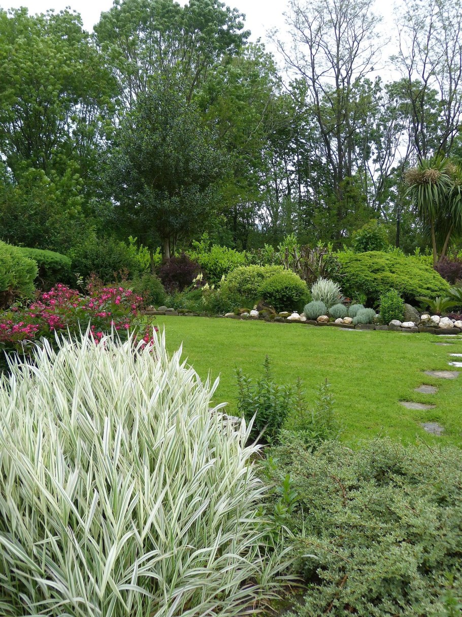 Фалярис Стравберри