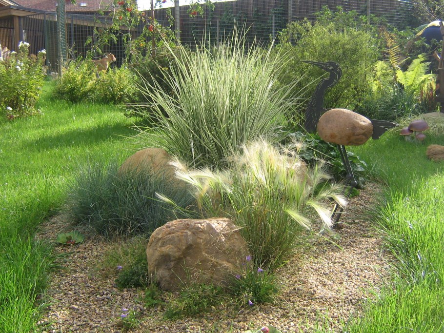 Фалярис двукисточник