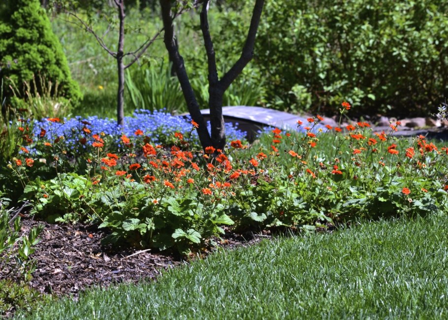 Гравилат Боризин