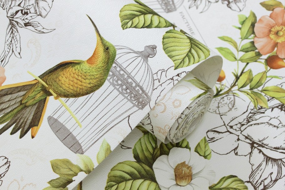 Обои Колибри