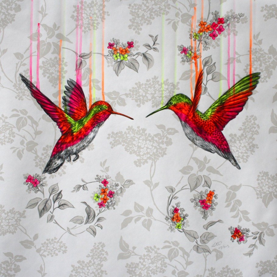 Обои Колибри