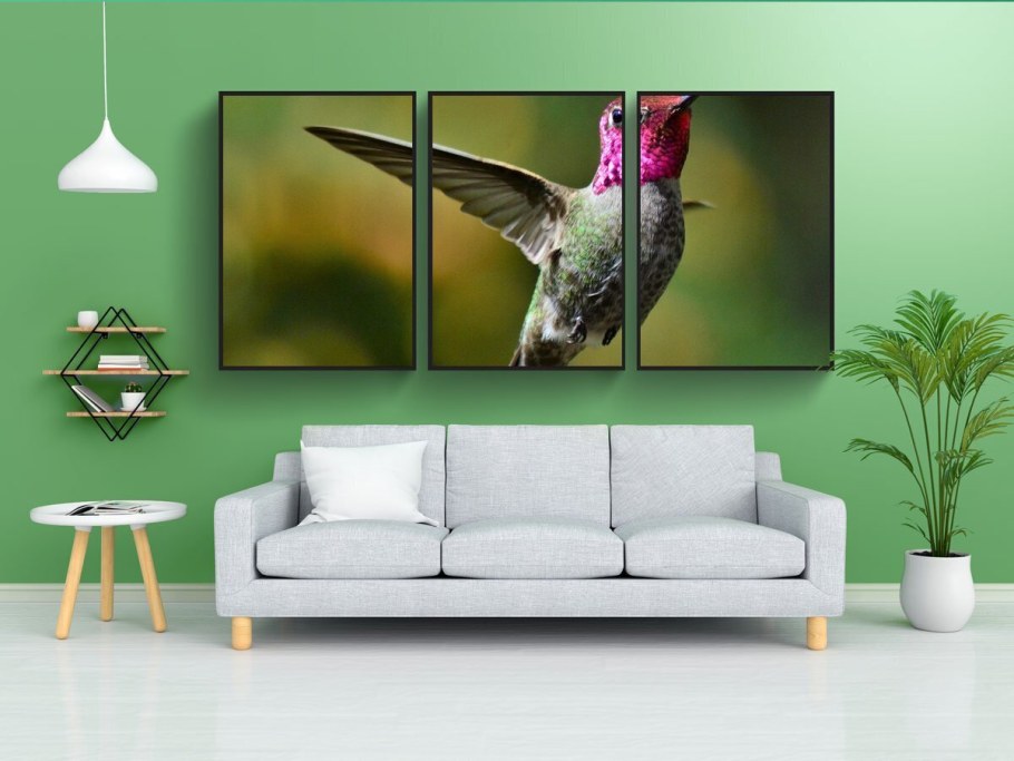 Колибри в интерьере