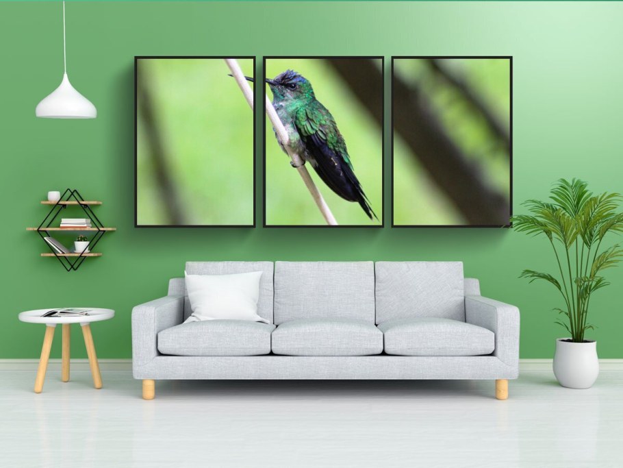 Постеры с птицами для интерьера