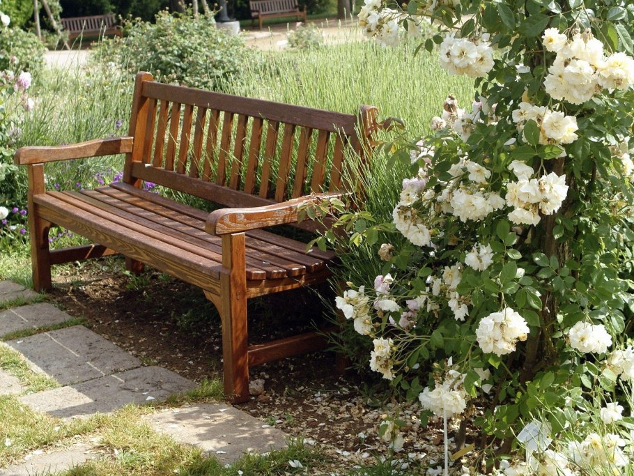 Скамейки в ландшафте