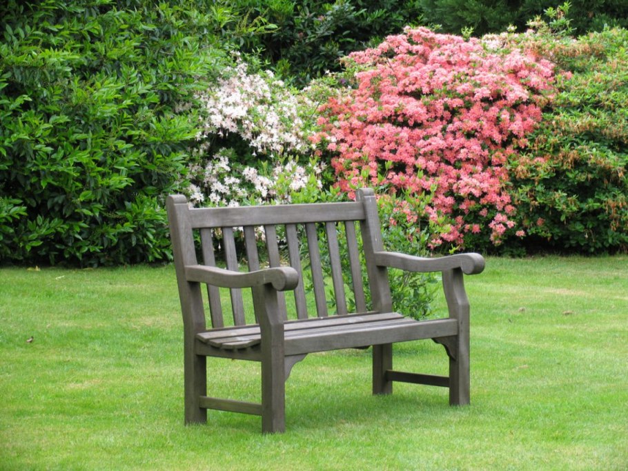 Скамейка в саду