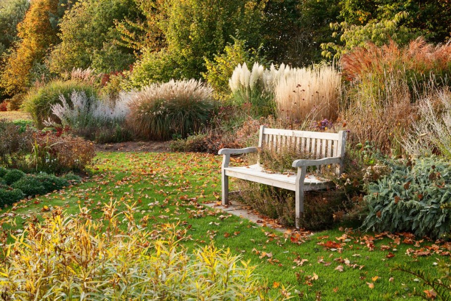 Пит Удольф ландшафтный дизайнер