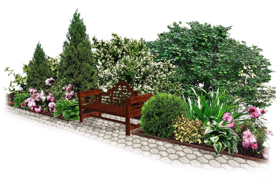 Миксбордер сирень и туя