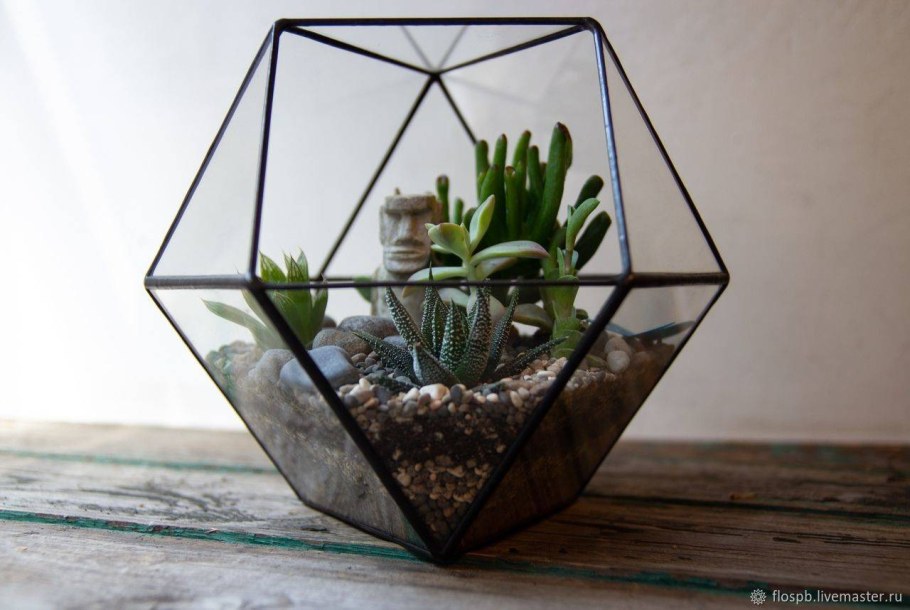 Флорариум с цикламенами