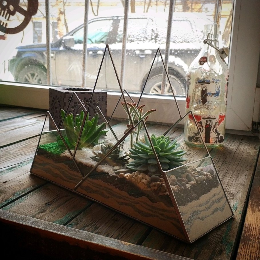 Флорариум Альпы