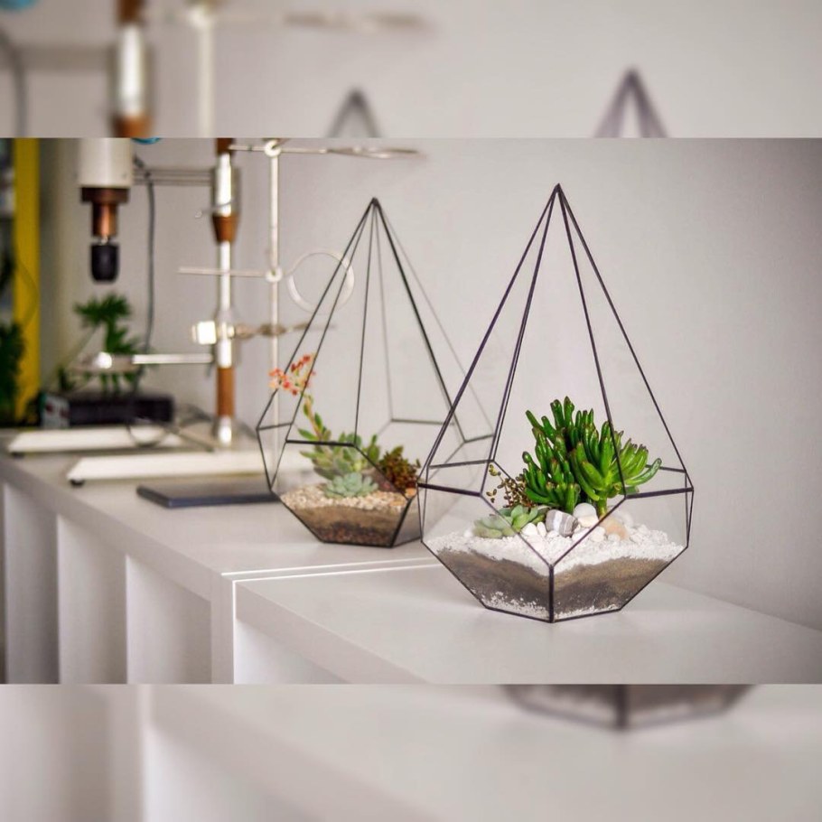 Флорариум Кристалл