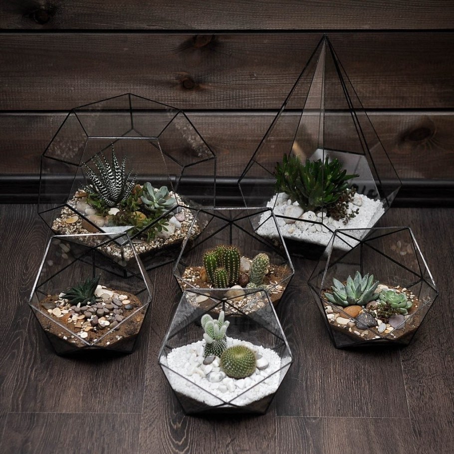 Флорариум Секвойя