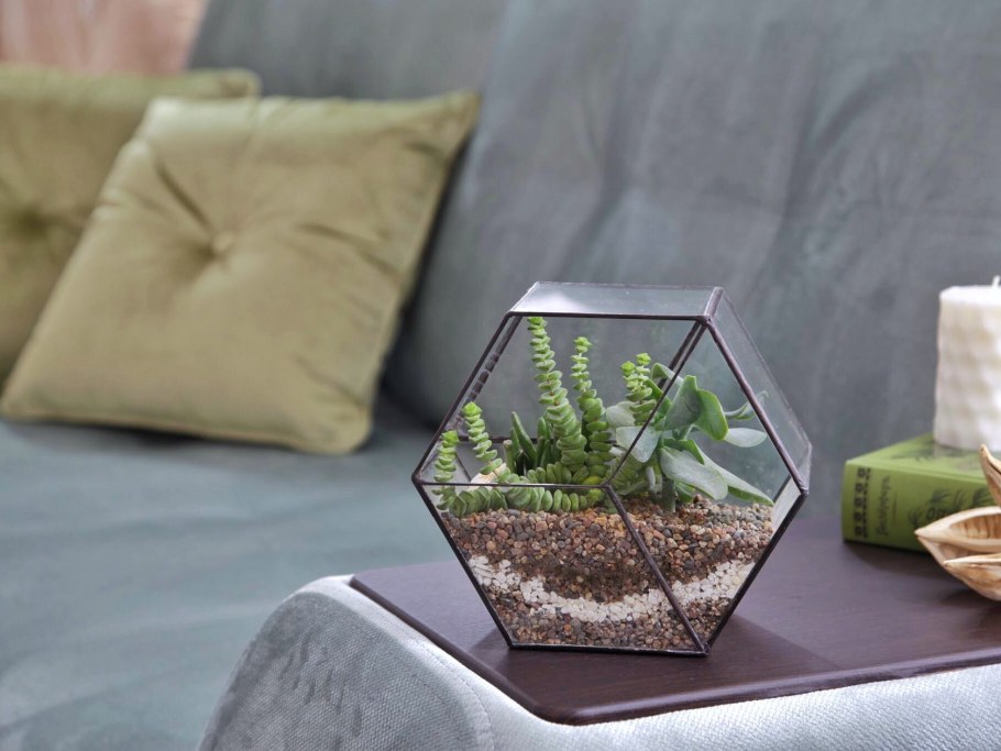 Флорариум от Анжелики