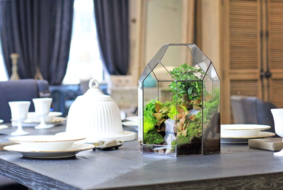 Флорариум замкнутая экосистема