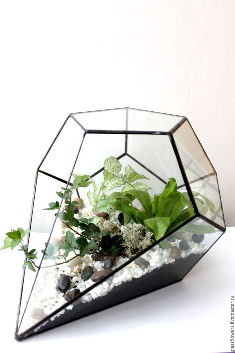 Флорариум с папоротником