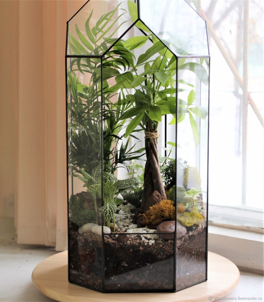 Флорариум плантс
