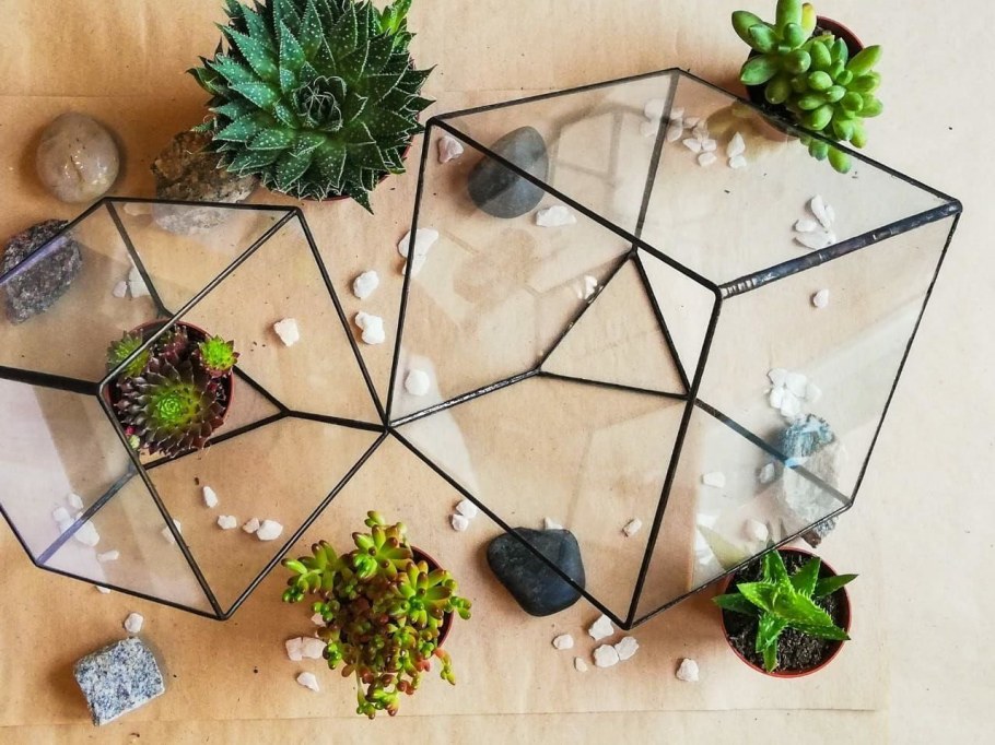 Флорариум EXOTERRA 90