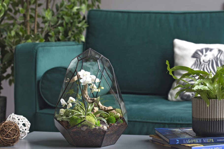 Флорариум орхидариум