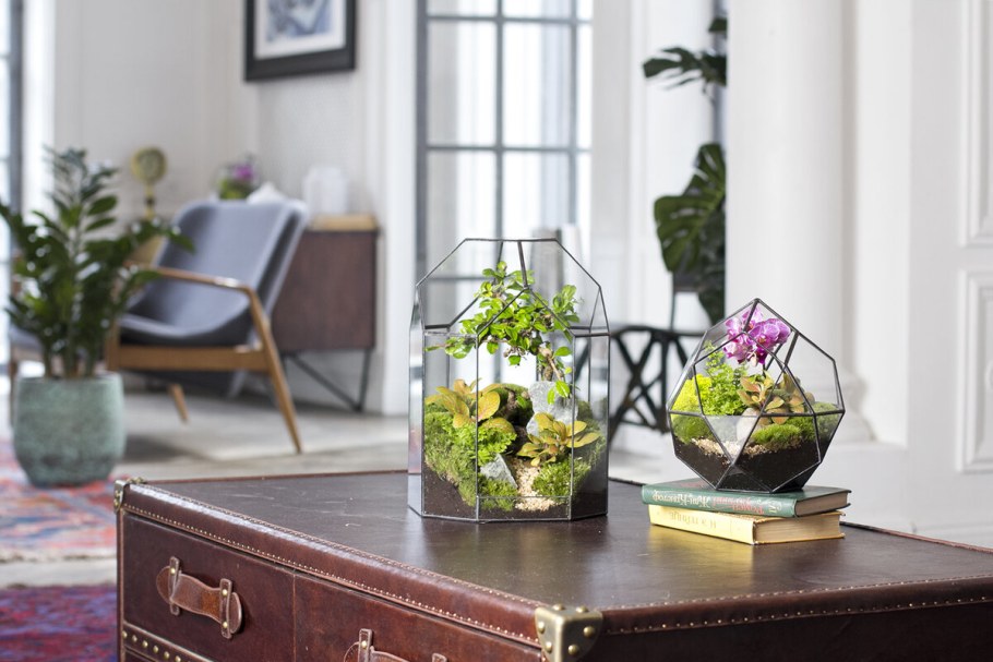 Флорариум Эстетика