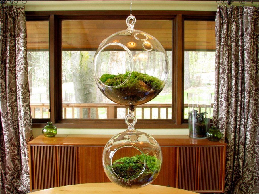 Эко Фэко флорариумлорариум