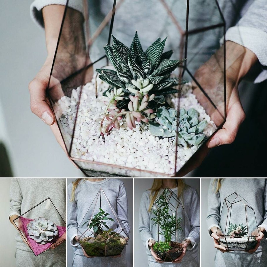 Подвесной флорариум в интерьере